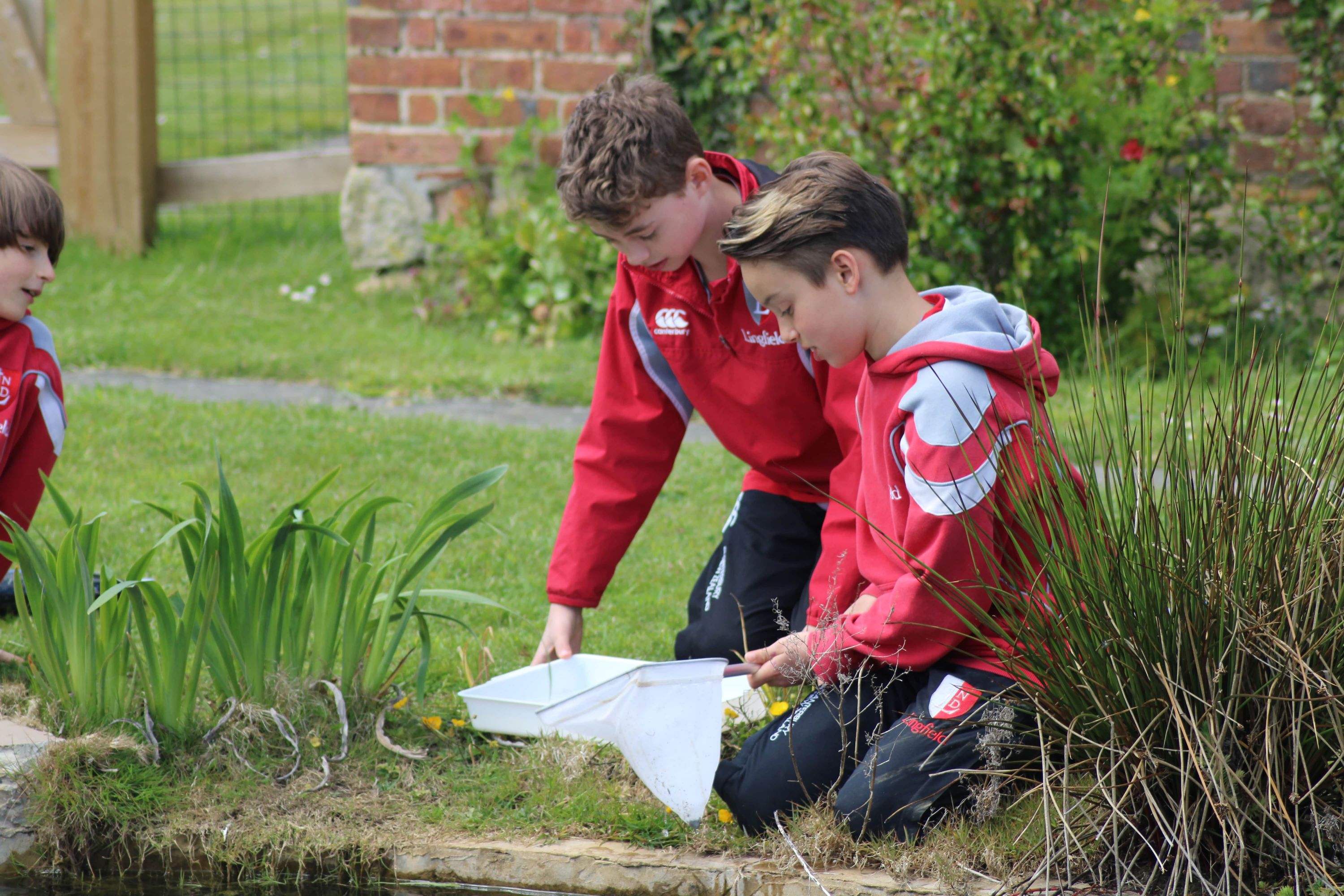 Lingfield Prep school students learning outside