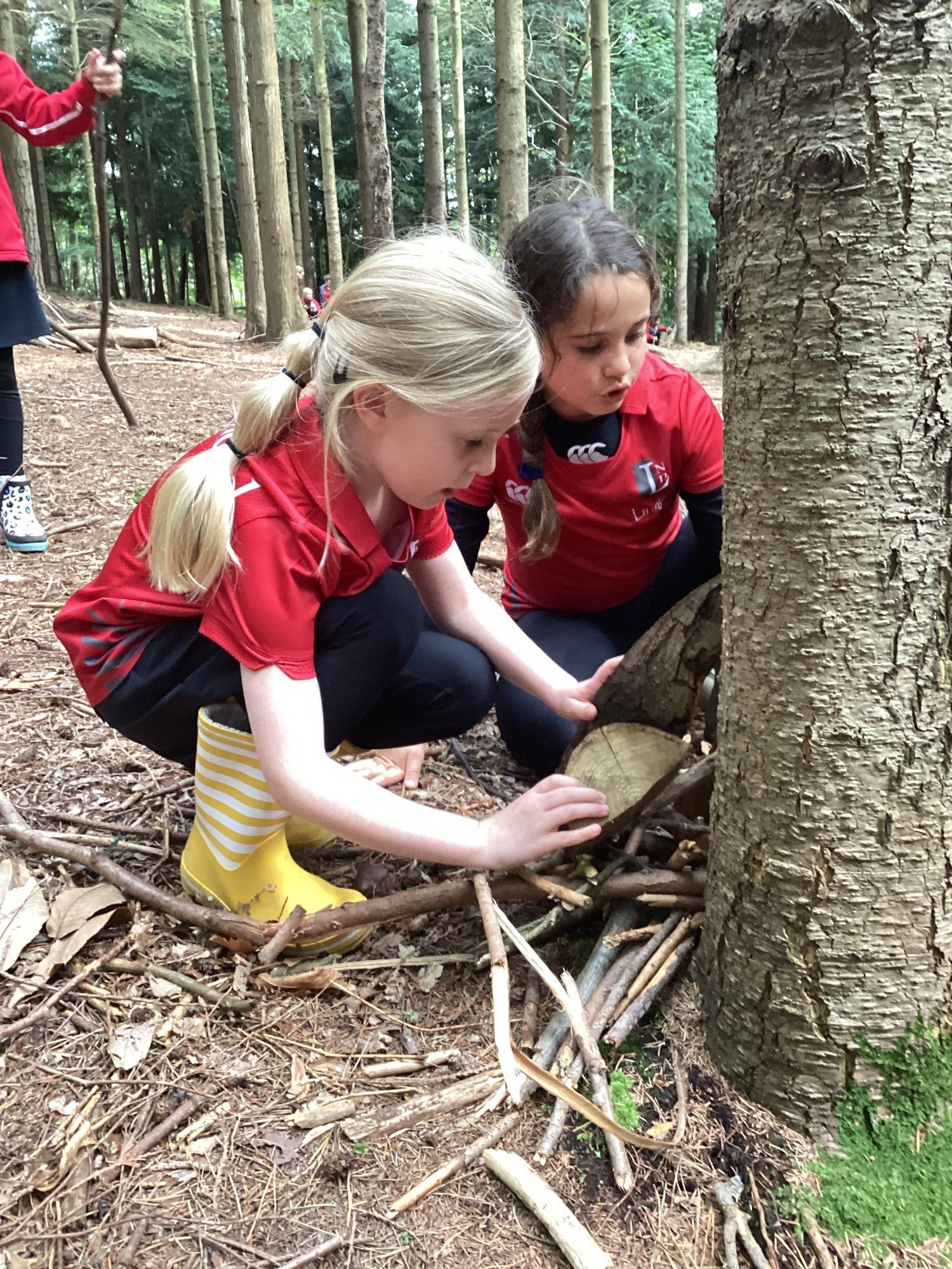 Lingfield Prep students at Wilderness Wood