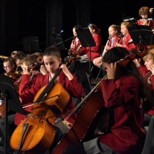 Training Orchestra