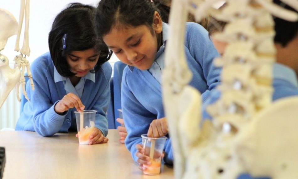 Sublime Science at Lingfield Prep